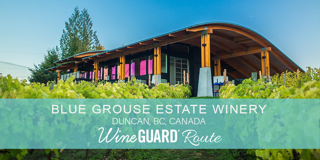 wineguard retailer blue grouse estate winery