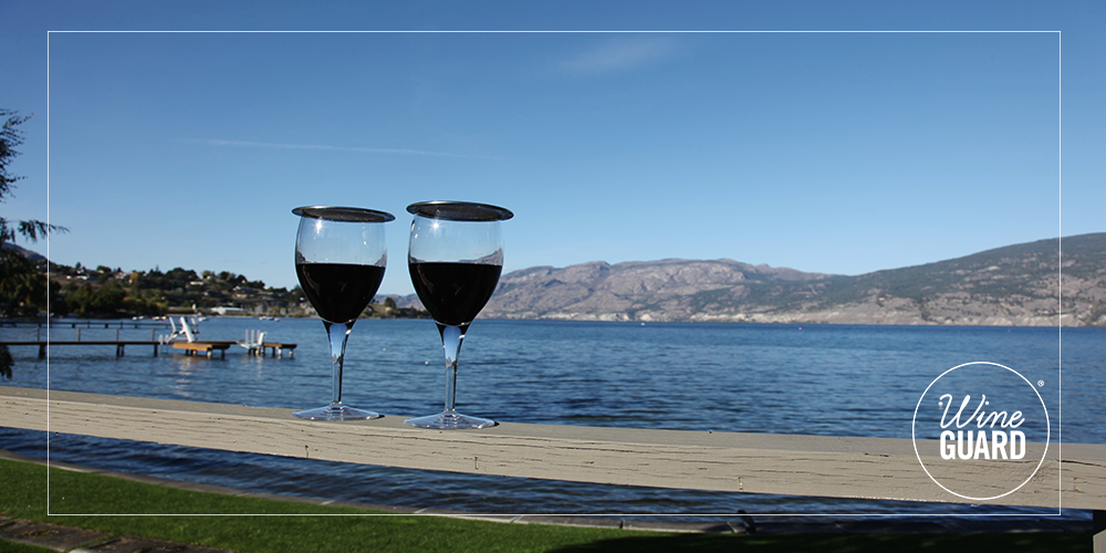 Wine glasses with lids by a lake