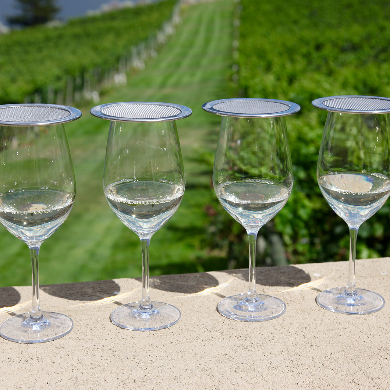 Wine Glasses with Lids